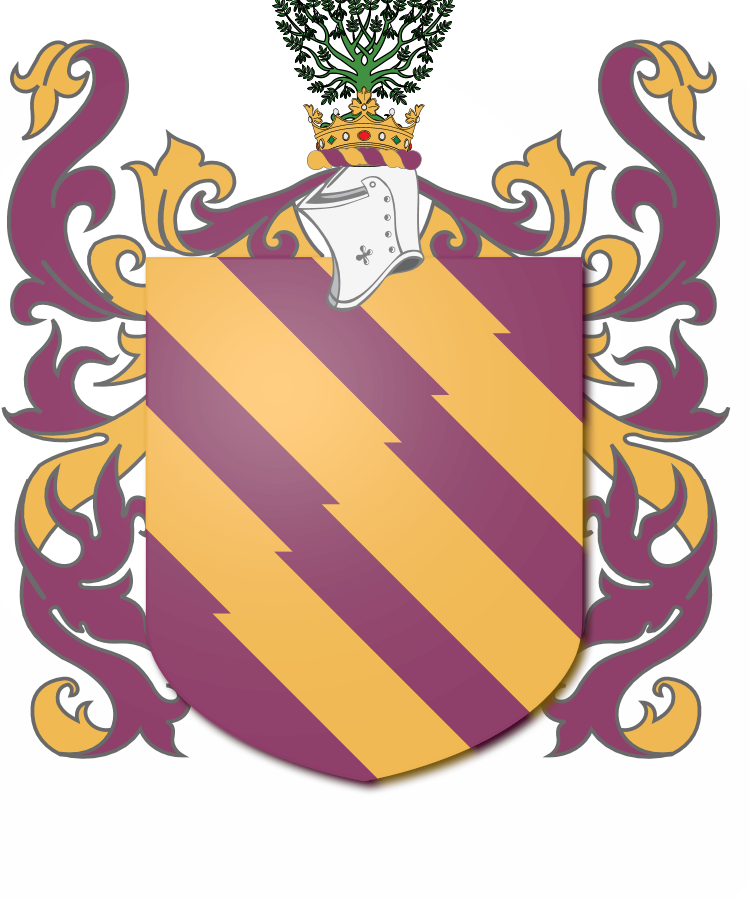 Shield image