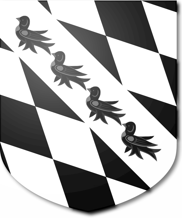 Shield image