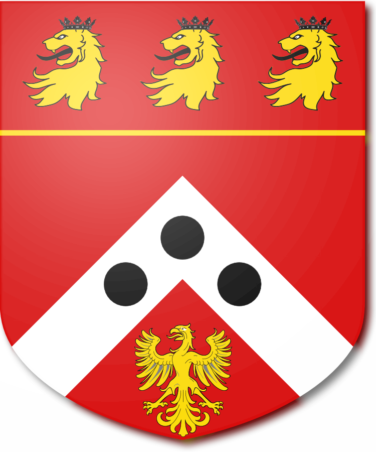 Shield image