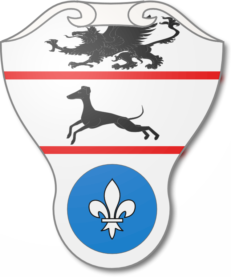 Shield image