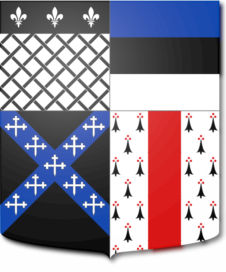 Shield image