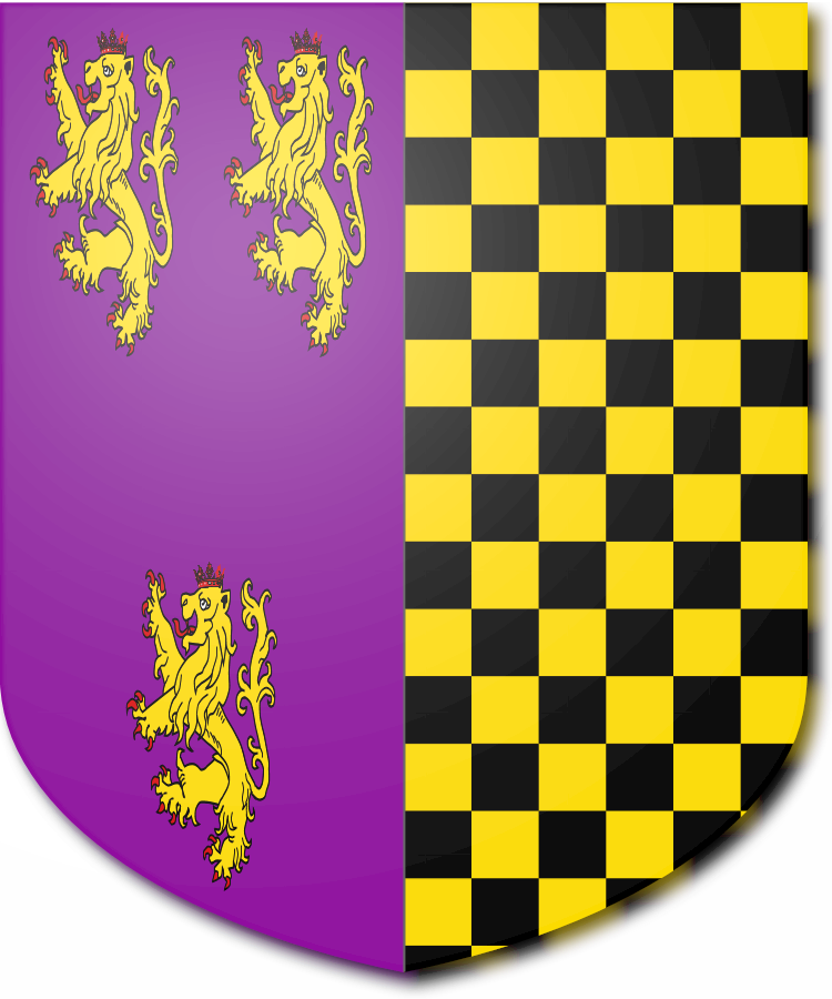 Shield image