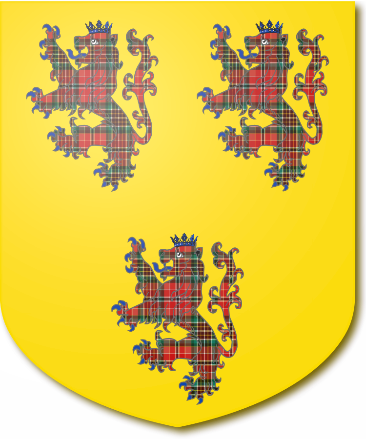 Shield image