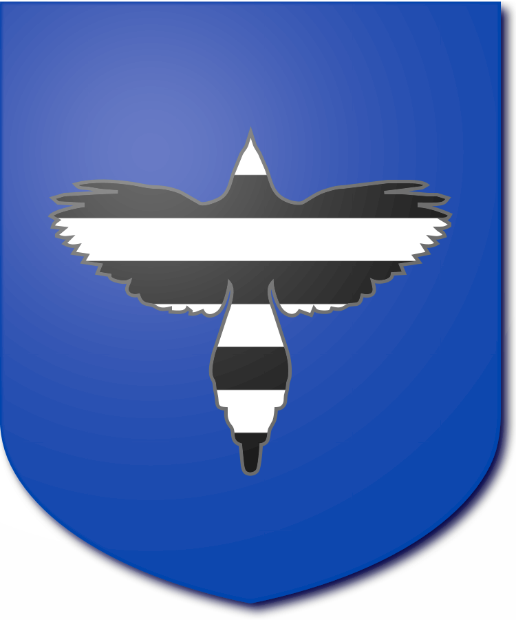 Shield image