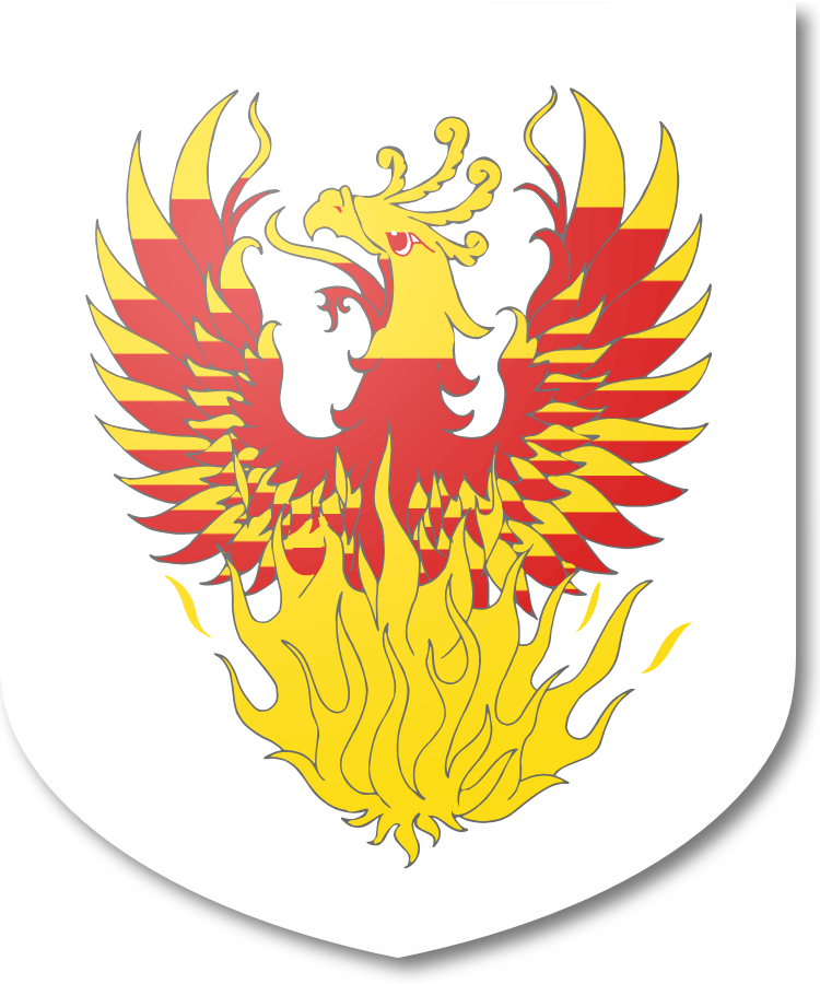 Shield image