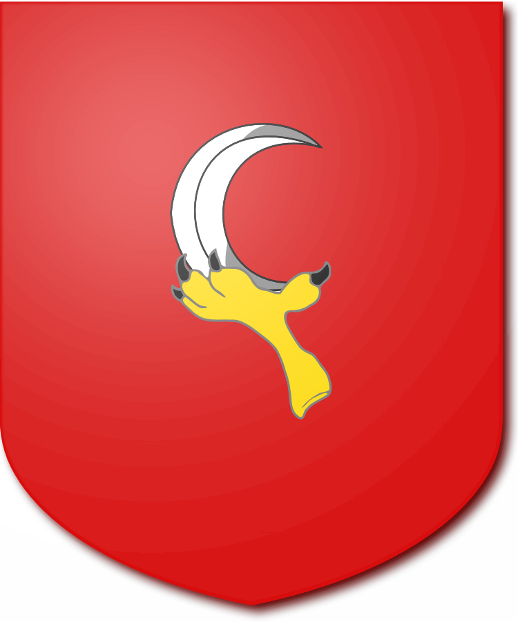 Shield image