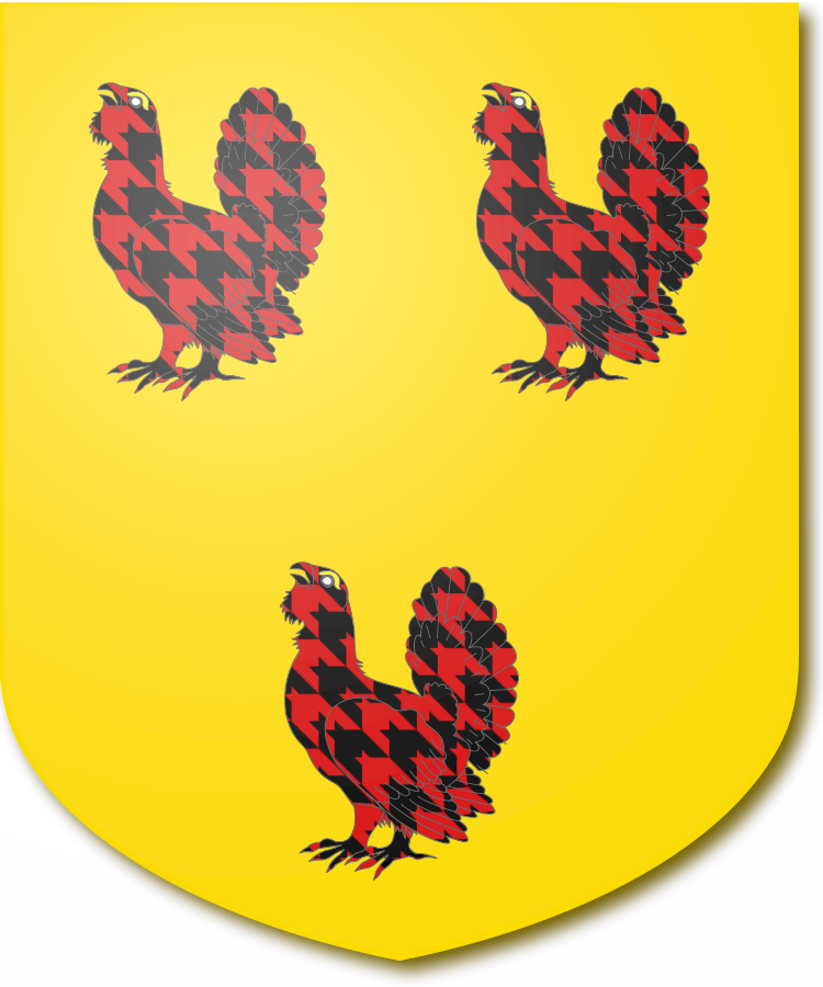 Shield image