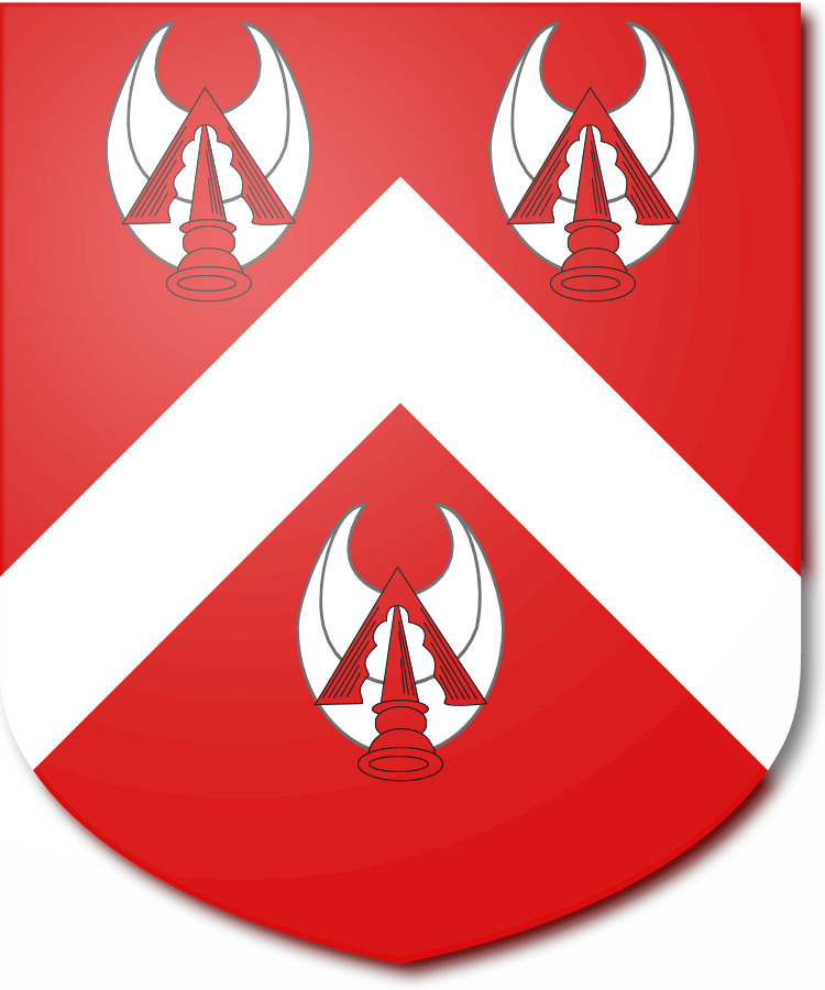 Shield image