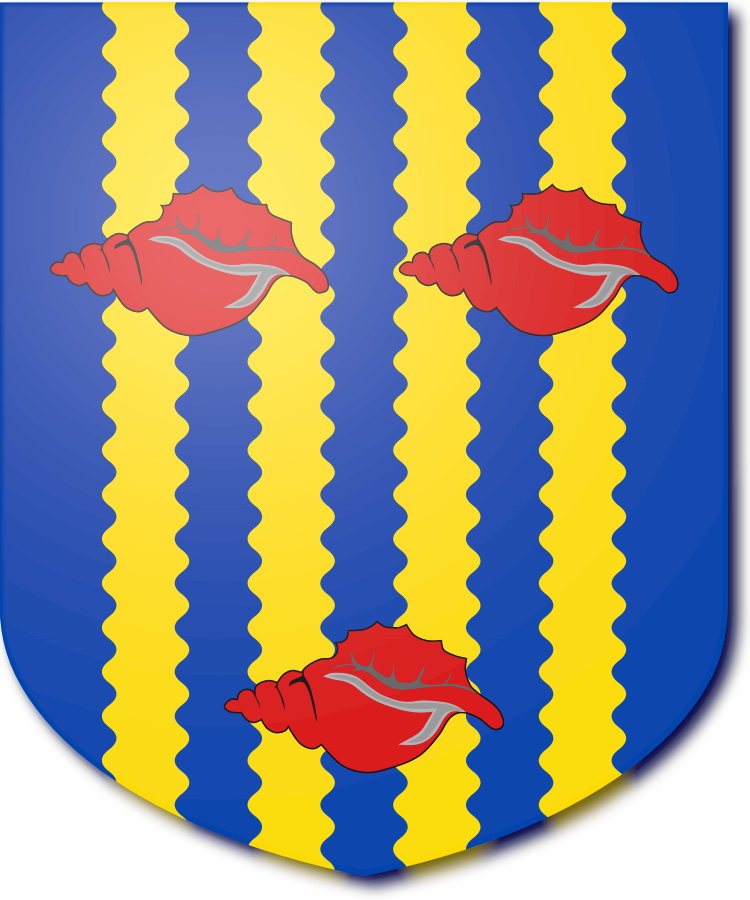 Shield image