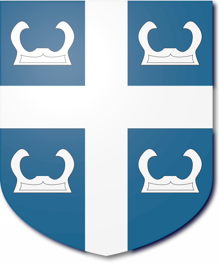 Shield image