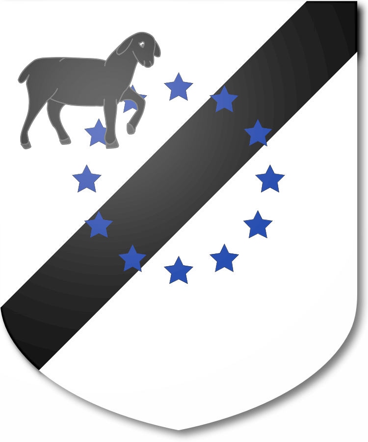 Shield image