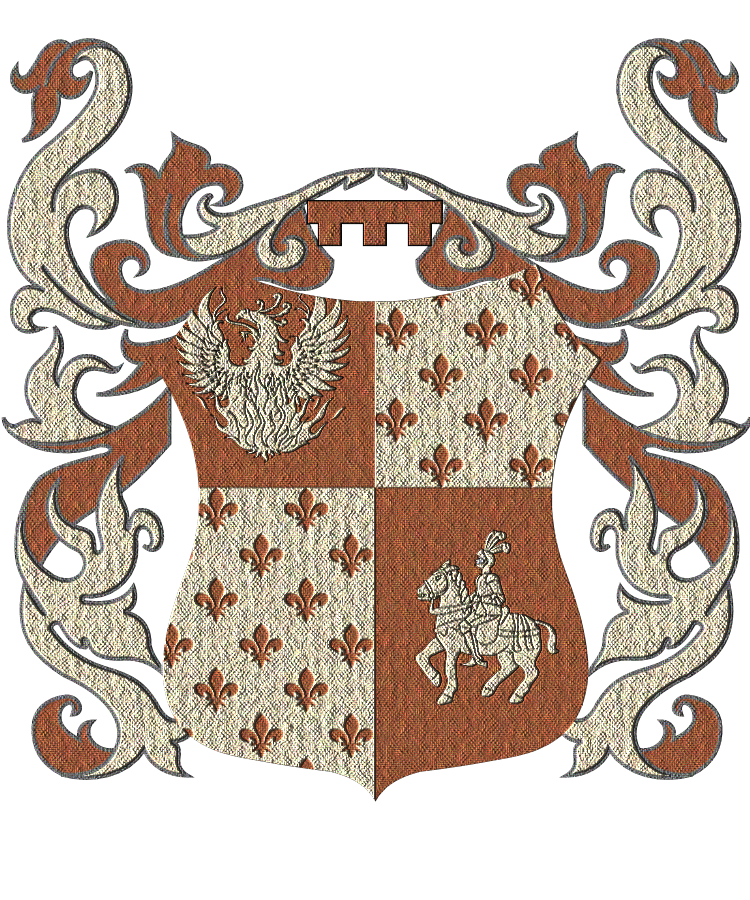 Shield image