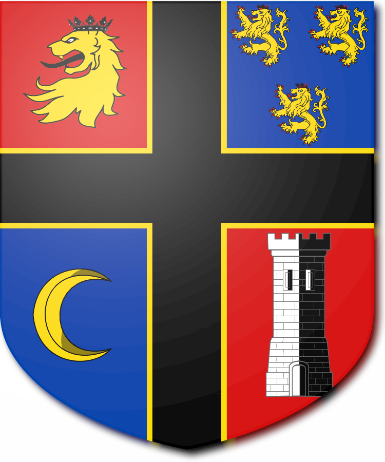 Shield image