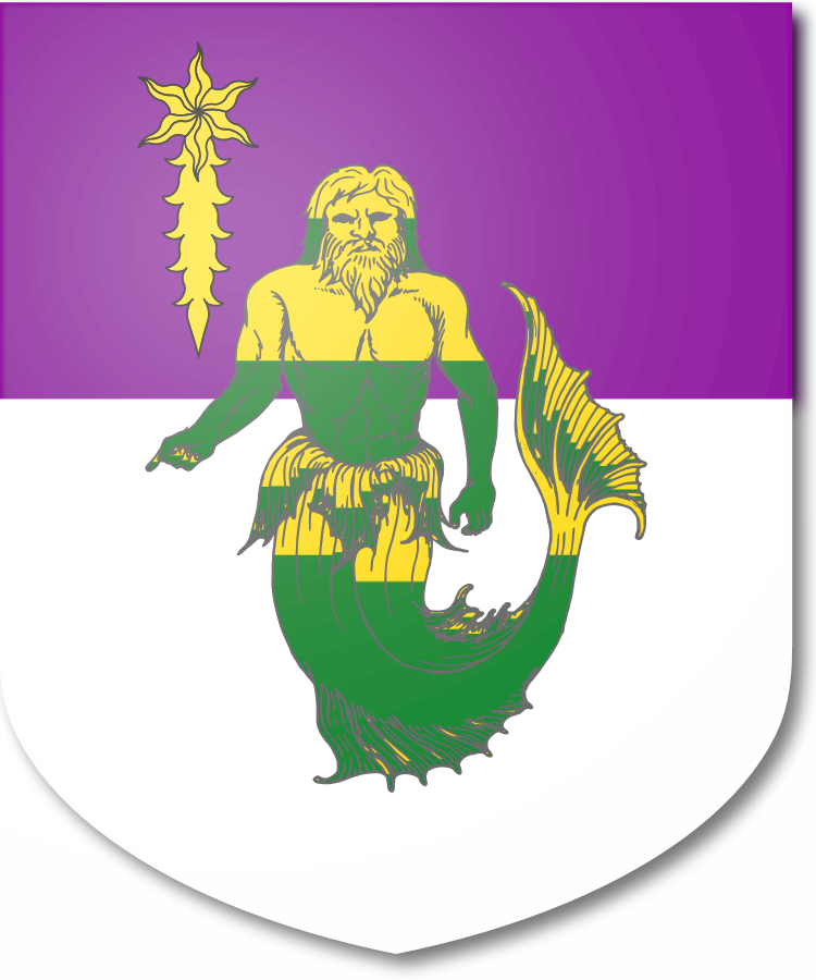 Shield image