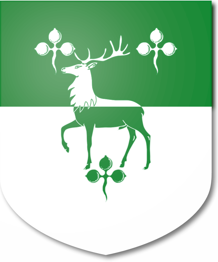 Shield image