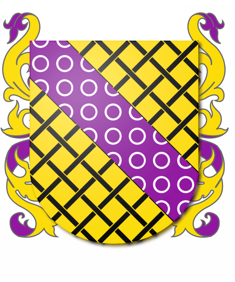 Shield image