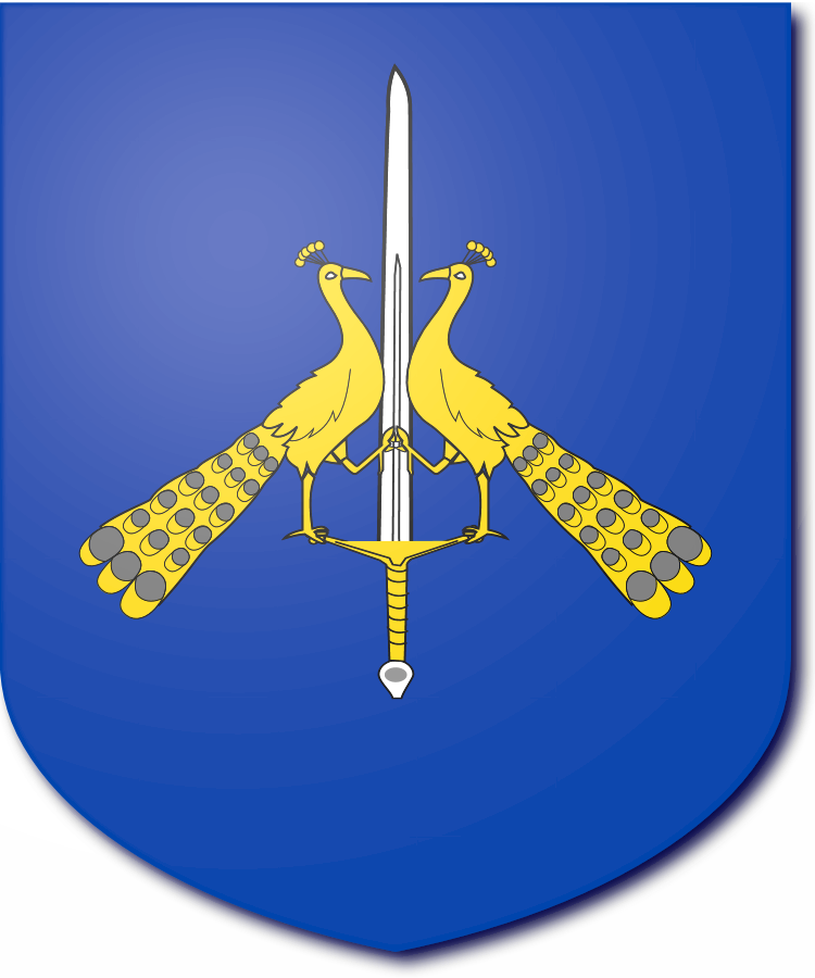 Shield image