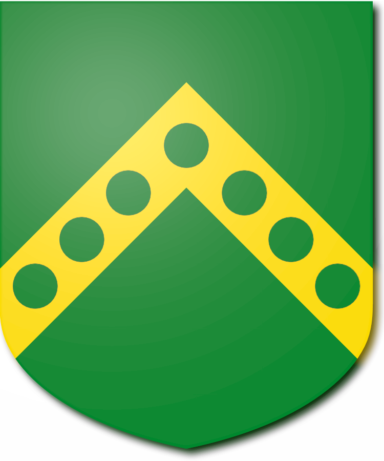 Shield image