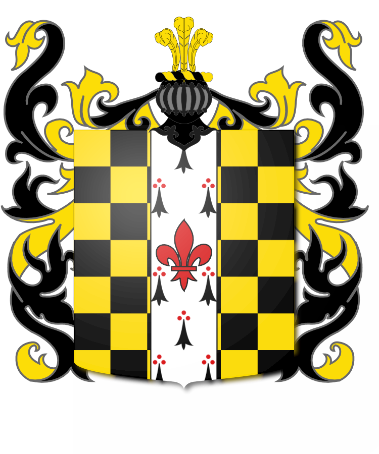 Shield image