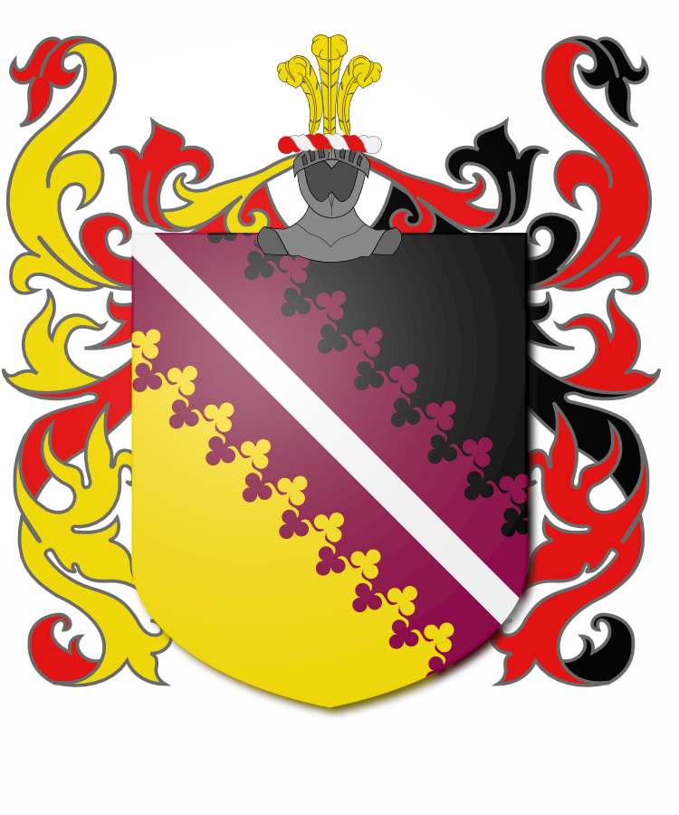 Shield image