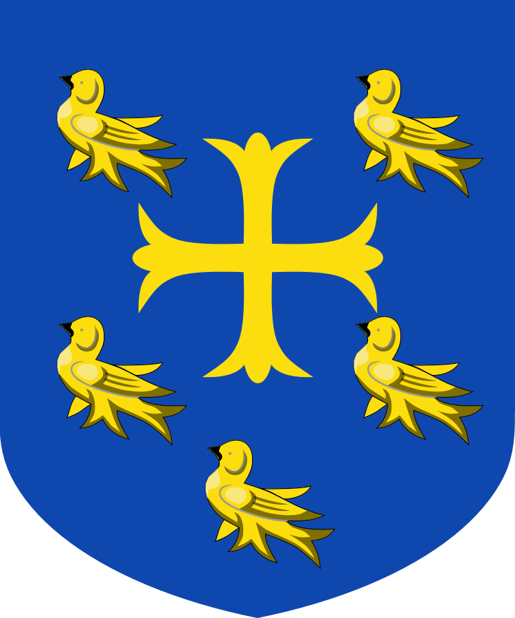 Shield image