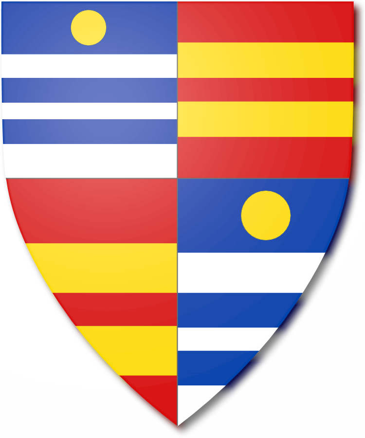 Shield image