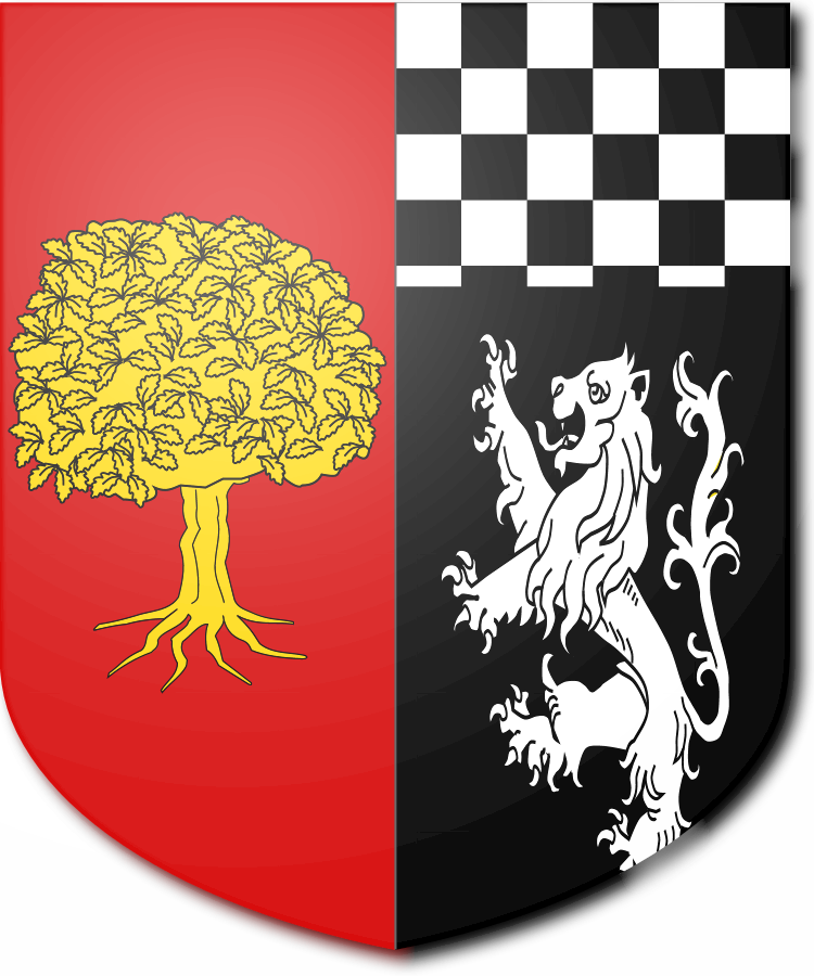 Shield image