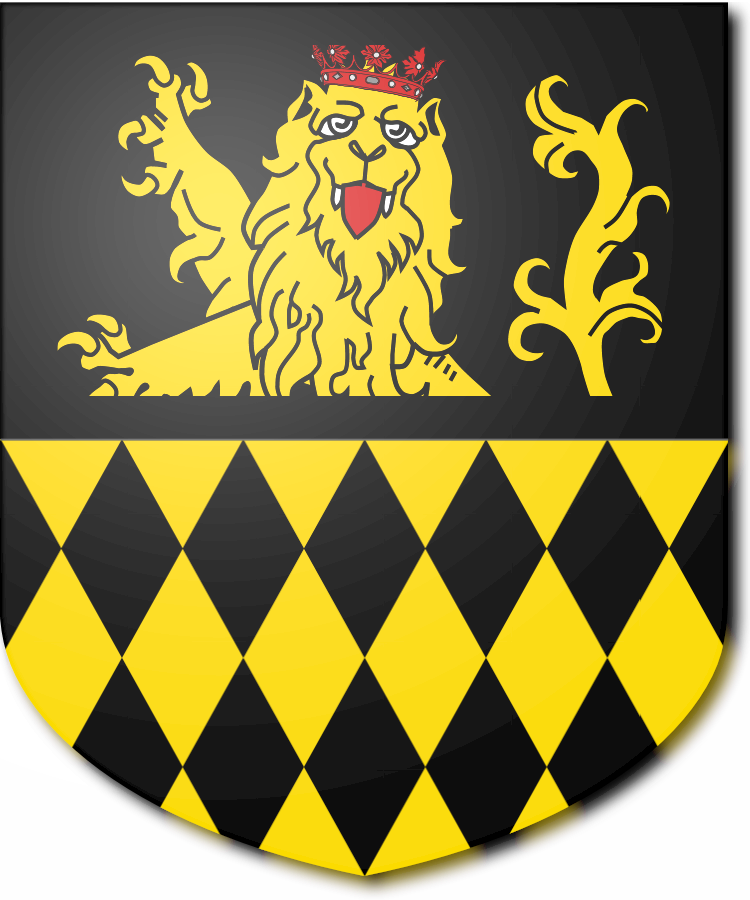 Shield image