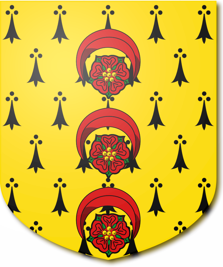 Shield image