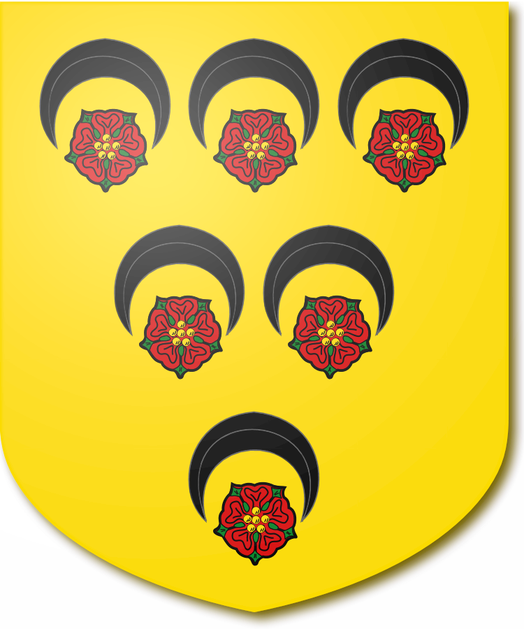 Shield image