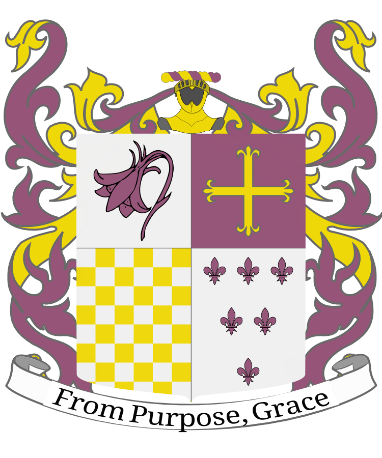 Shield image