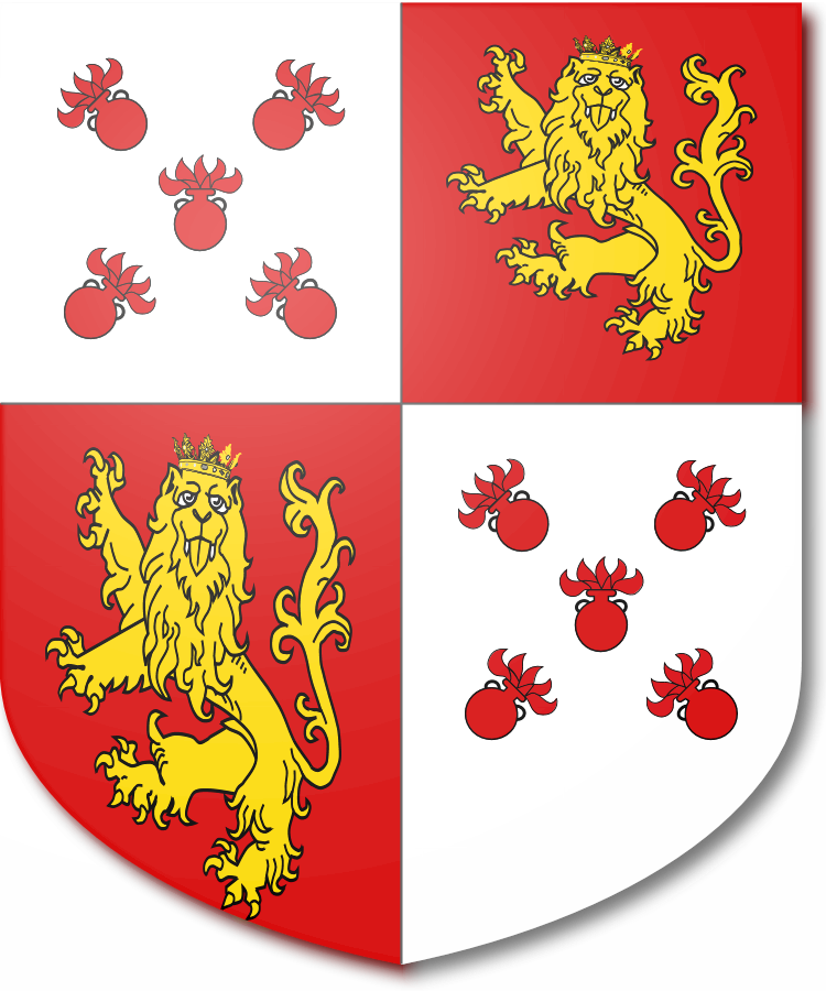 Shield image