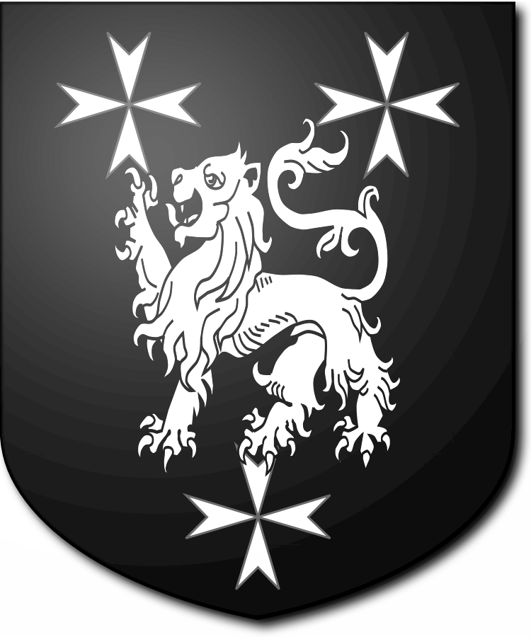 Shield image