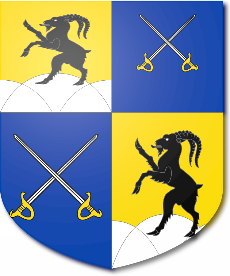 Shield image