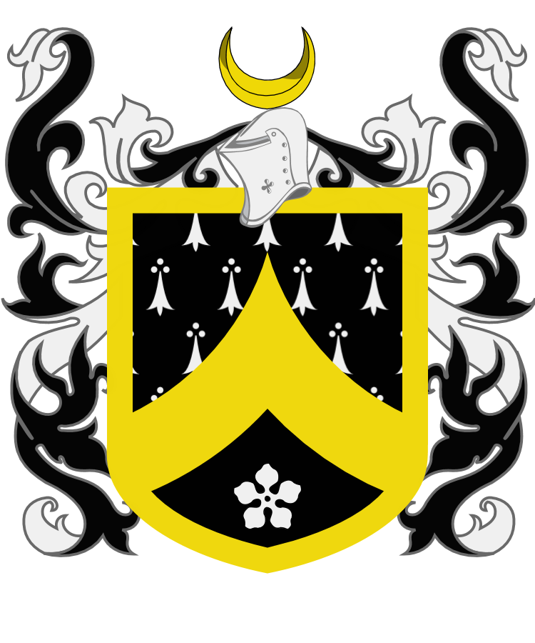 Shield image