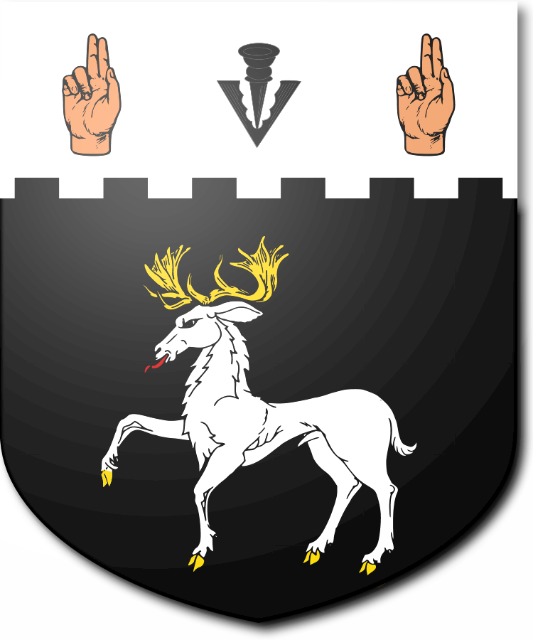 Shield image