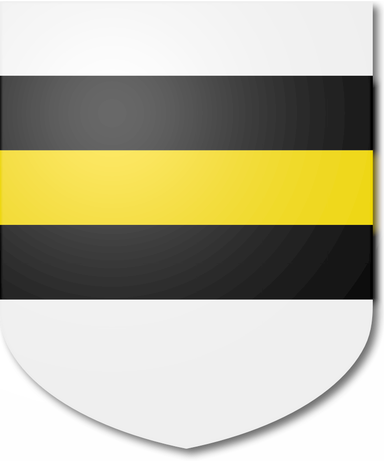 Shield image