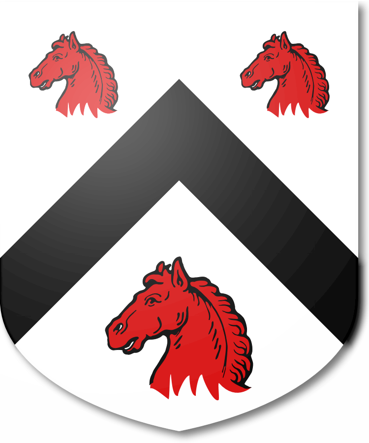 Shield image