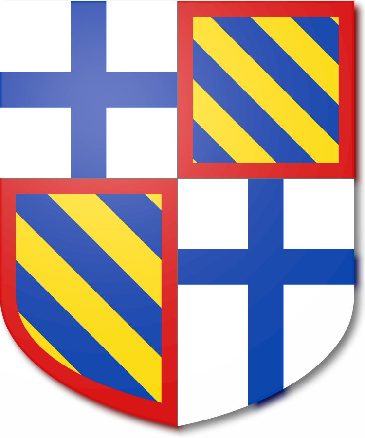 Shield image