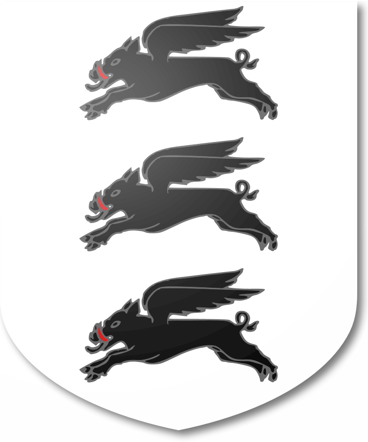 Shield image