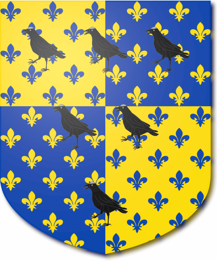 Shield image