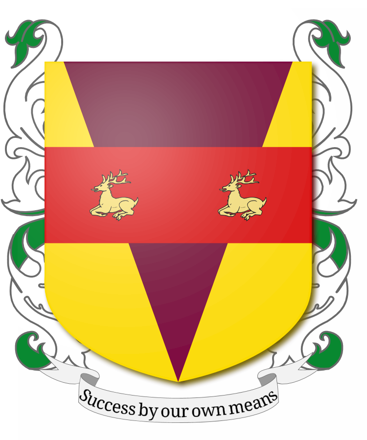 Shield image