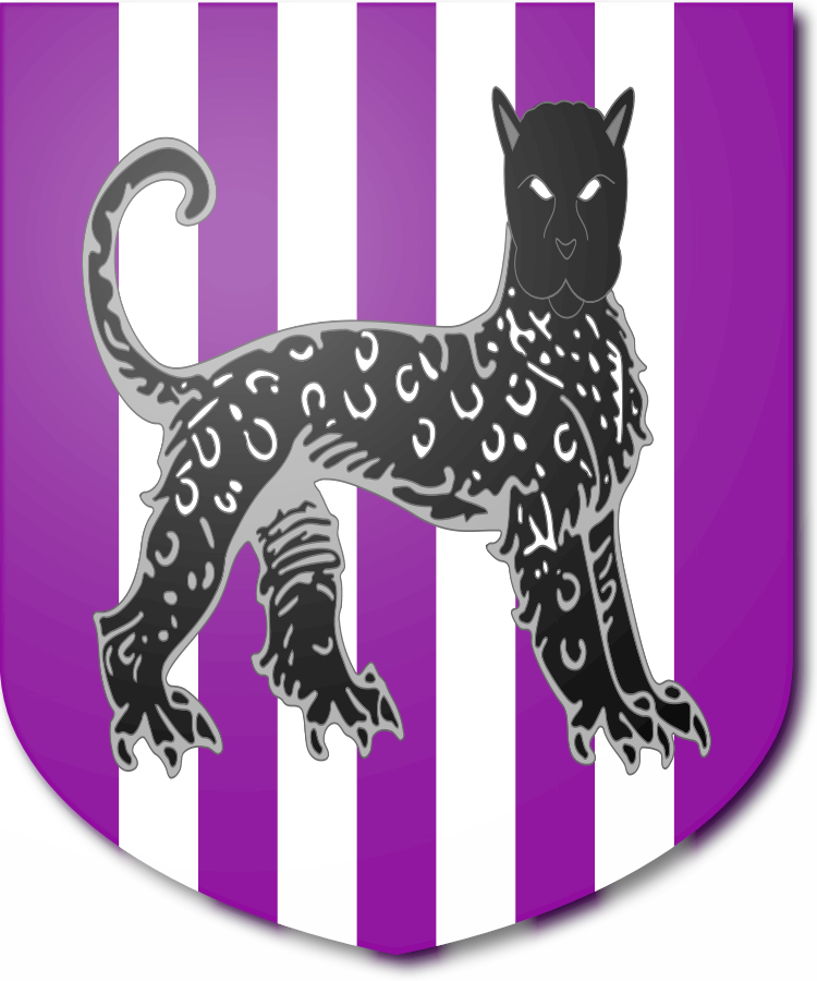 Shield image