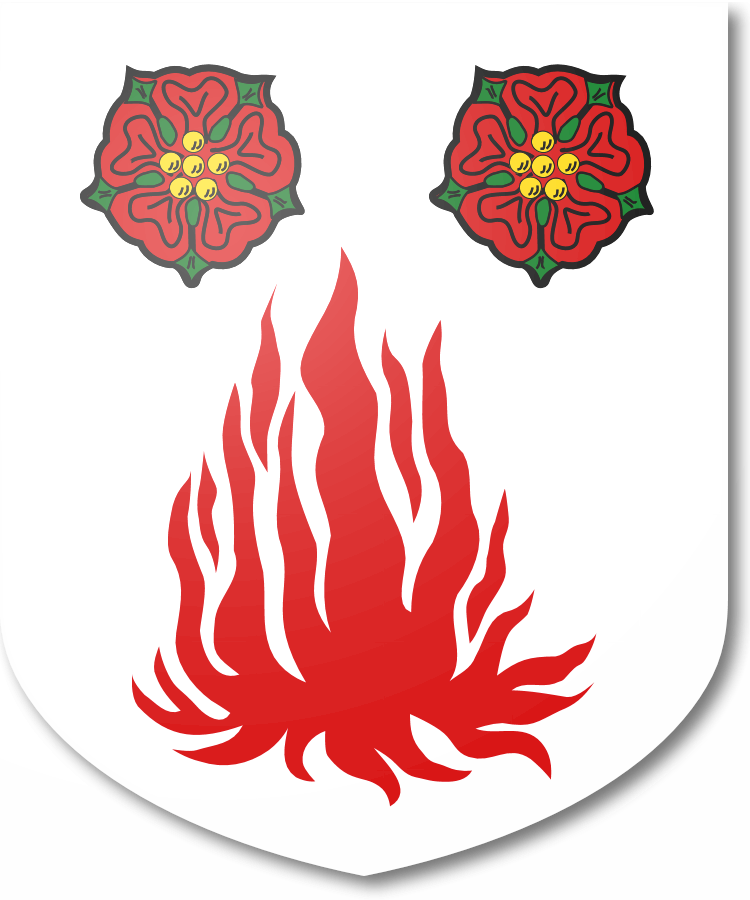 Shield image