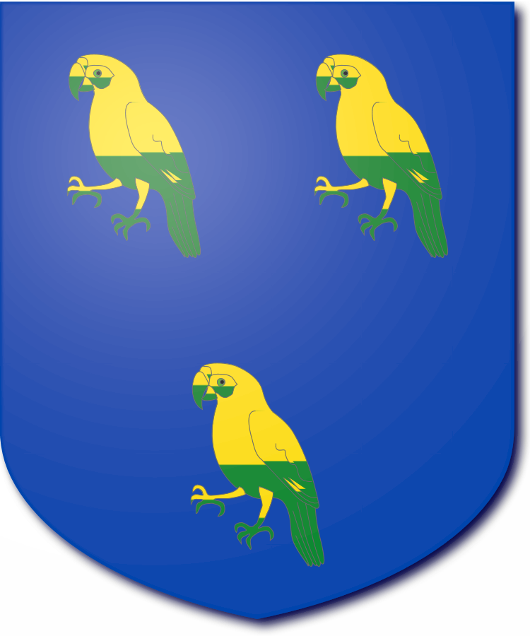 Shield image