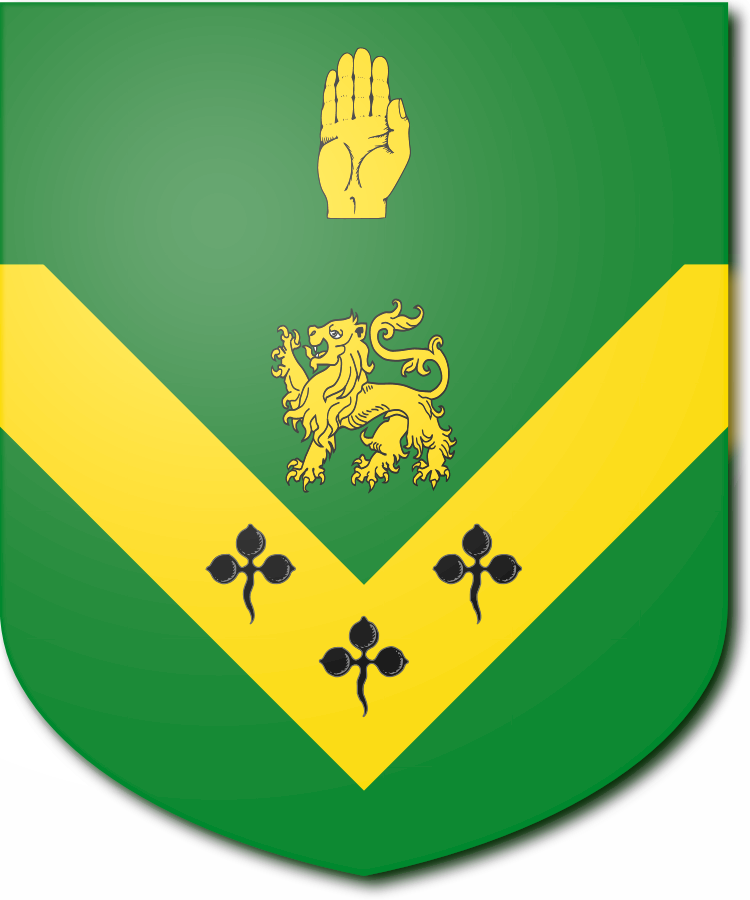 Shield image