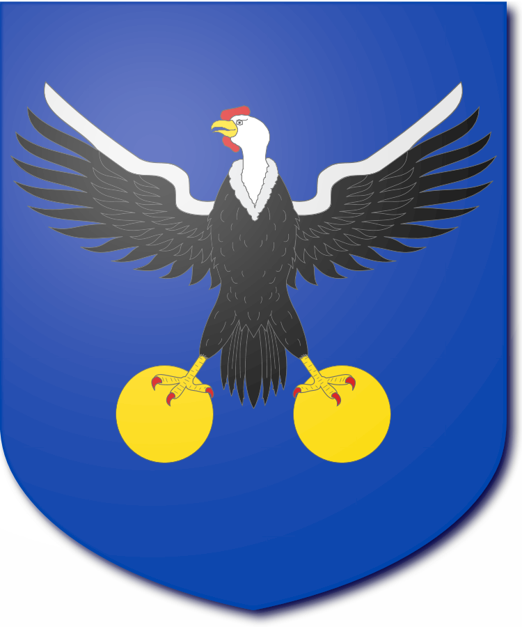 Shield image