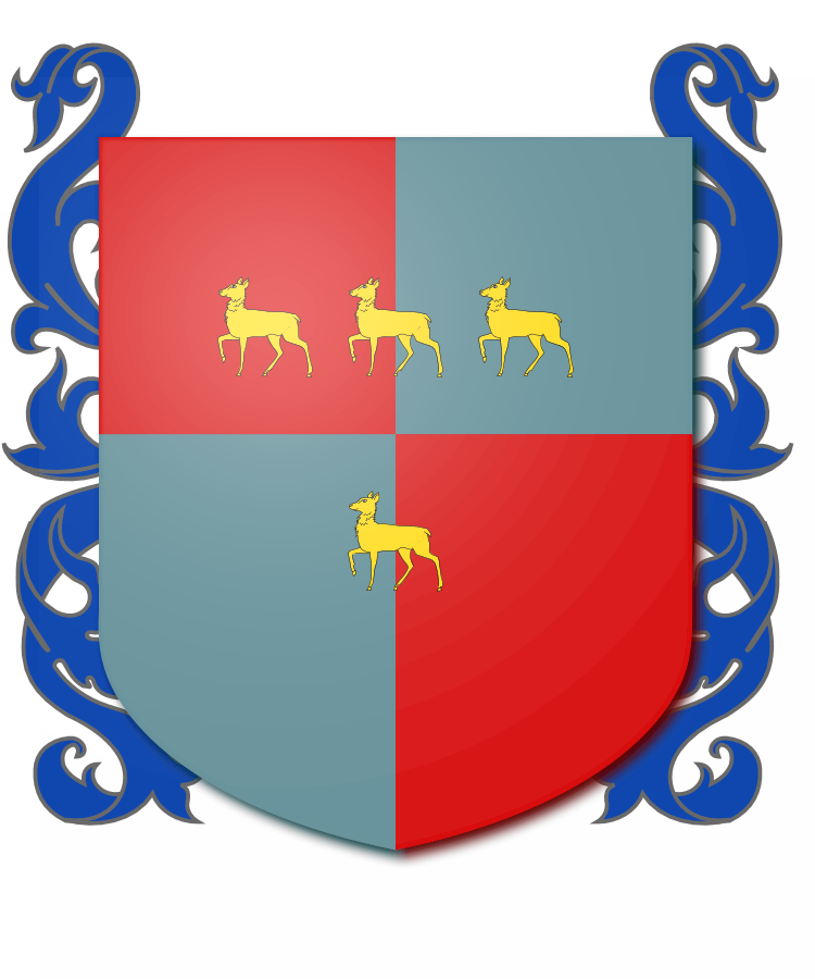 Shield image