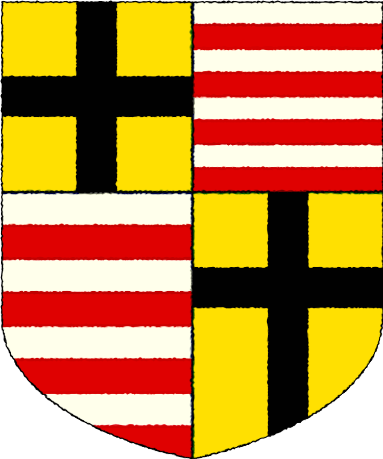 Shield image