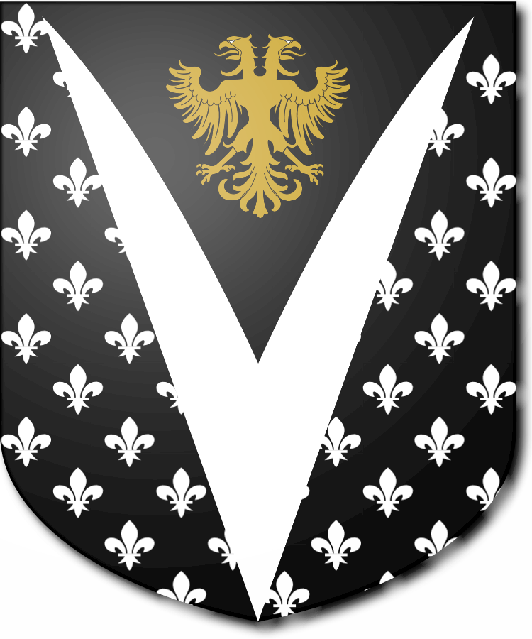 Shield image